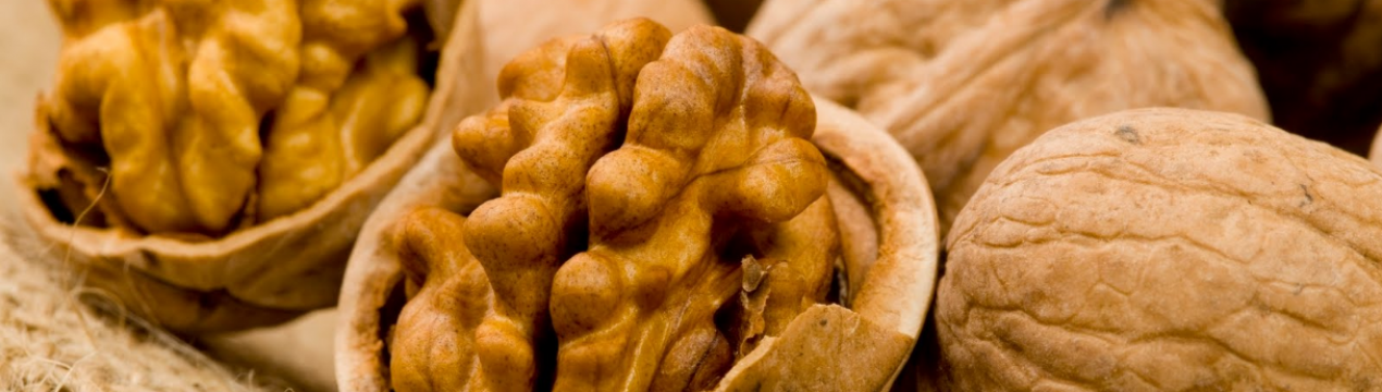 Користь і шкода волоських горіхів і скільки їх можна їсти в день