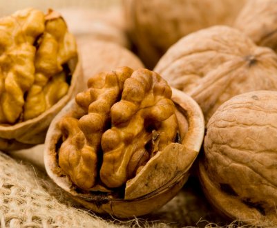 Користь і шкода волоських горіхів і скільки їх можна їсти в день