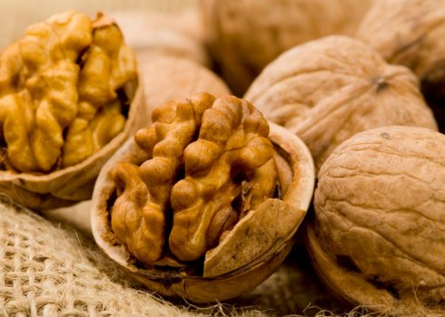 Користь і шкода волоських горіхів і скільки їх можна їсти в день