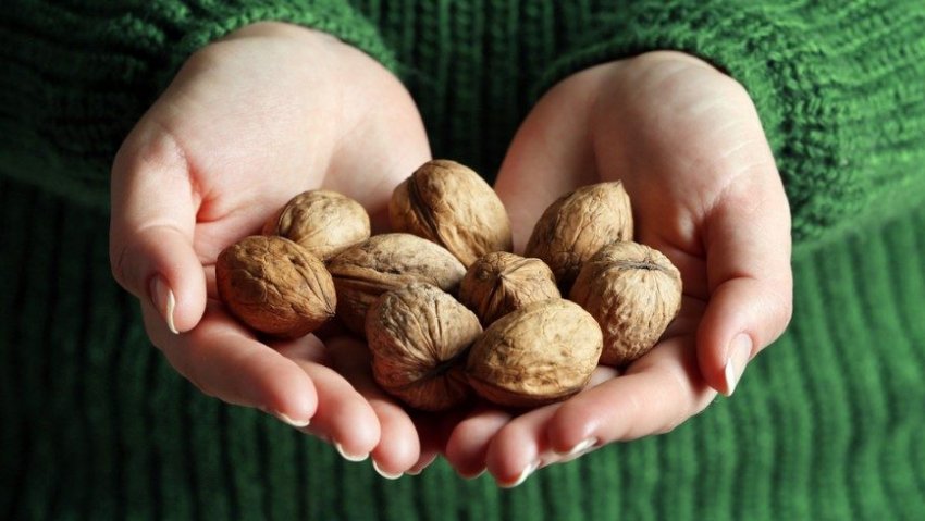 Волоські горіхи Волоські горіхи