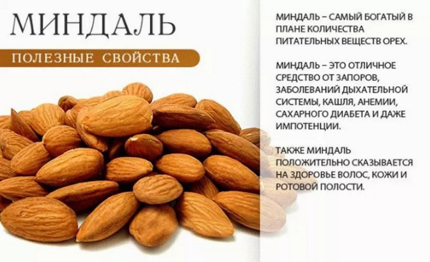 Користь мигдалю Користь мигдалю
