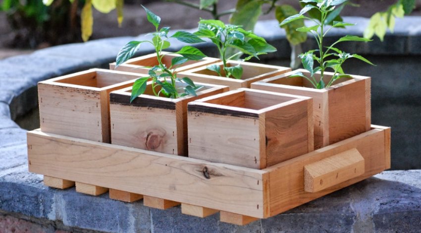 Ящик для розсади Ящик для розсади