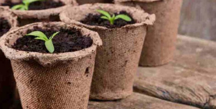 Торф'яні горщики для розсади Торф'яні горщики для розсади