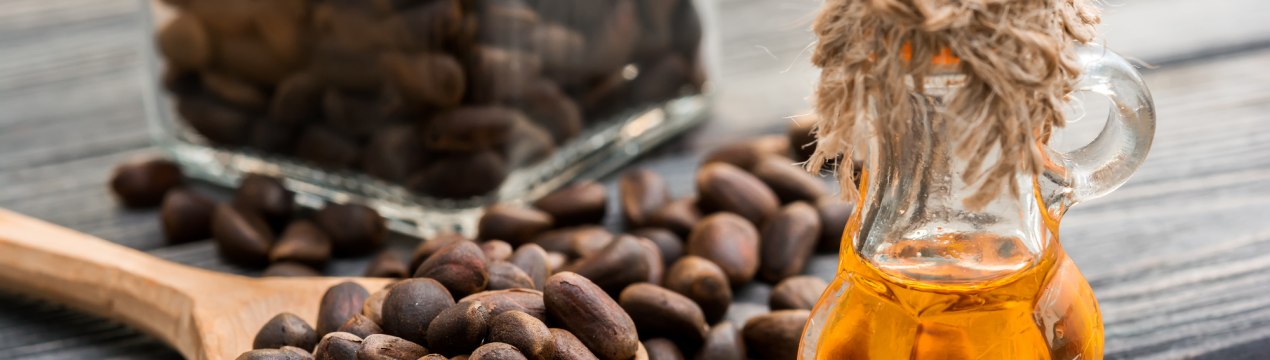 Масовий збір кедрового врожаю дасть сибірякам можливість провести час у лісі