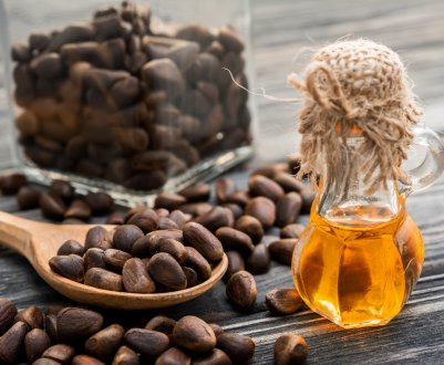 Масовий збір кедрового врожаю дасть сибірякам можливість провести час у лісі