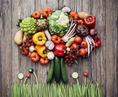 Унікальні теплиці забезпечать жителів Комі екологічно чистої провізією