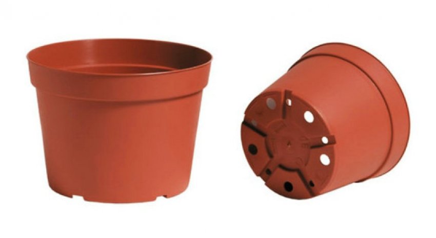 Горщик для розсади Горщик для розсади