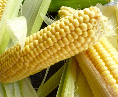 Дощі на приморських просторах ускладнили життя кукурудзі, сої та овочів