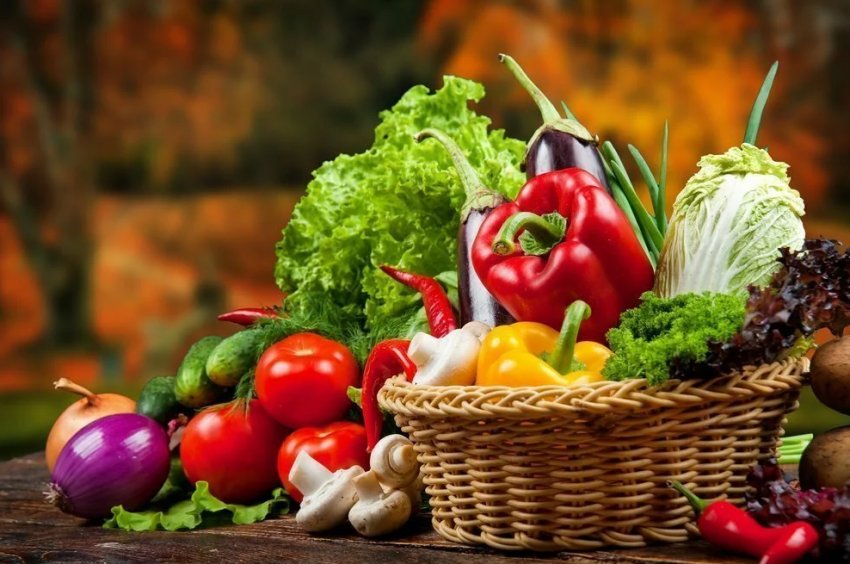 З ставропольских городів вирушило на ринок 30 тисяч тонн овочів З ставропольских городів вирушило на ринок 30 тисяч тонн овочів