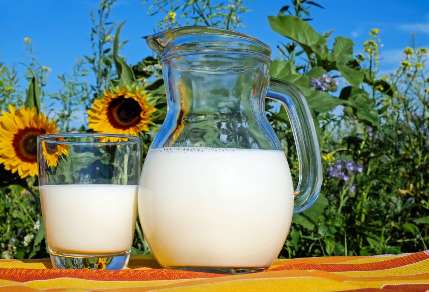 Прибалтійські молочники об'єднують зусилля в спільному кооперативі