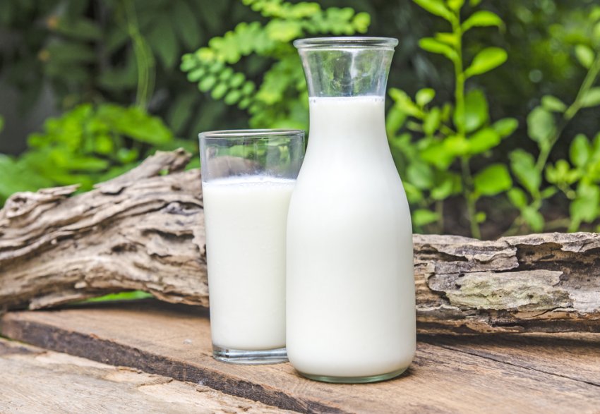 Прибалтійські молочники об'єднують зусилля в спільному кооперативі