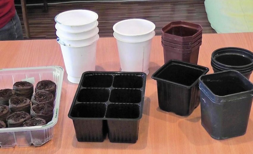 Ємність для вирощування Ємність для вирощування