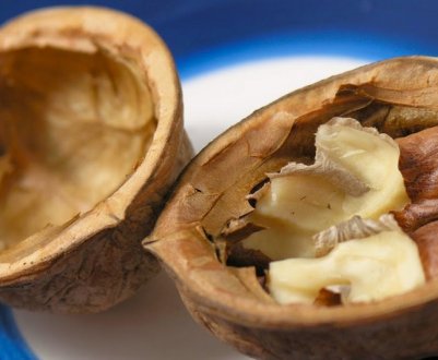 Застосування шкаралупи волоського горіха в городі на дачі