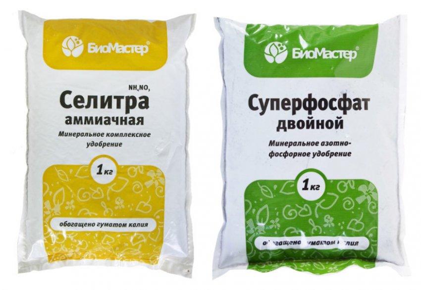 Добрива для волоського горіха Добрива для волоського горіха