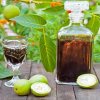 ореховый ликер в домашних условиях рецепт. . ореховый ликер в домашних условиях рецепт фото. ореховый ликер в домашних условиях рецепт-. картинка ореховый ликер в домашних условиях рецепт. картинка . Рецептов орехового ликера в мире не так уж много. Зато они чрезвычайно вариативны. Как мы увидим ниже, на базе двух классических рецептов, можно создать значительное число различных вариаций.