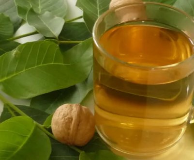 Користь і шкода чаю з листя волоського горіха