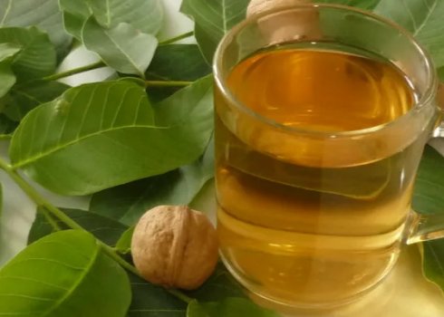 Користь і шкода чаю з листя волоського горіха