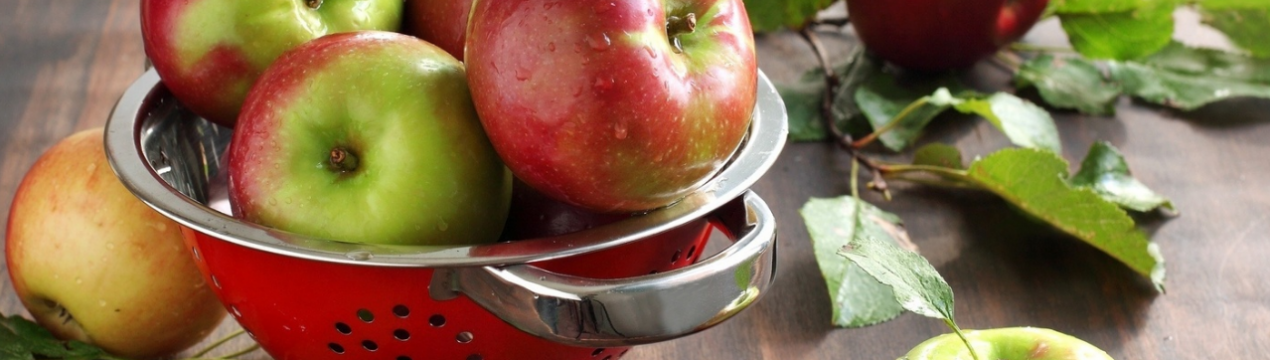 Американські розробники тестують робота для збору яблук