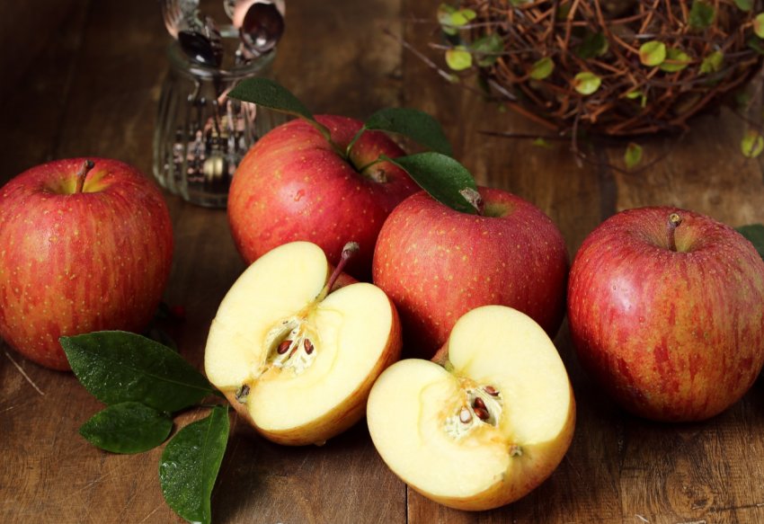 Американські розробники тестують робота для збору яблук Американські розробники тестують робота для збору яблук