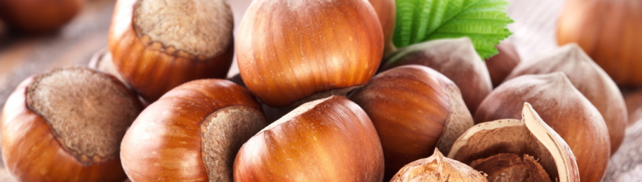 Користь фундука для жінок