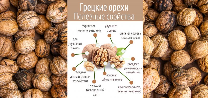 Корисні властивості волоських горіхів Корисні властивості волоських горіхів