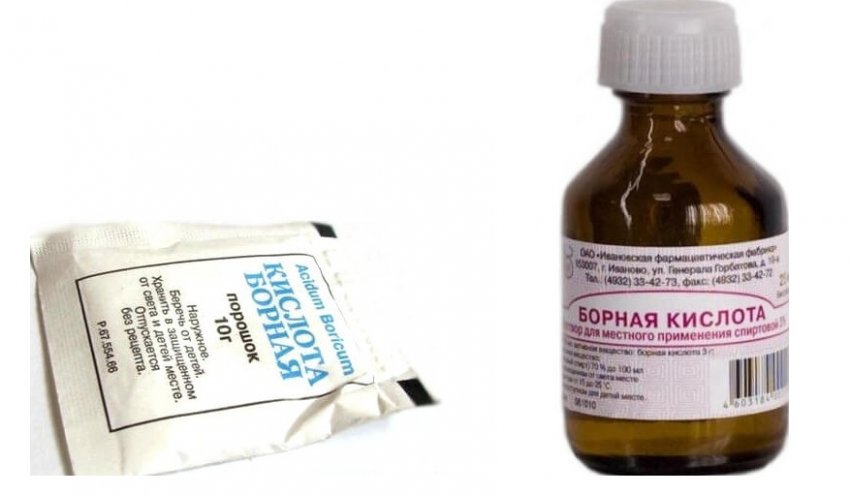 как обрабатывать помидоры борной кислотой дозировка. Смотреть фото как обрабатывать помидоры борной кислотой дозировка. Смотреть картинку как обрабатывать помидоры борной кислотой дозировка. Картинка про как обрабатывать помидоры борной кислотой дозировка. Фото как обрабатывать помидоры борной кислотой дозировка