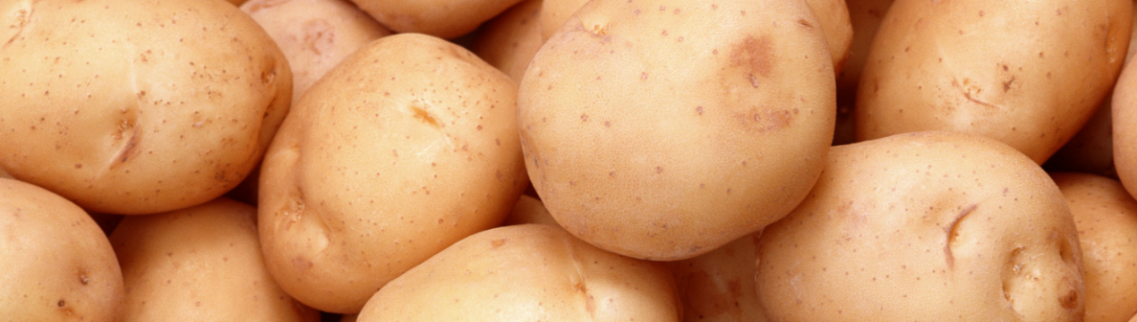 Урожай картоплі в Україні буде найнижчим за останнє десятиліття