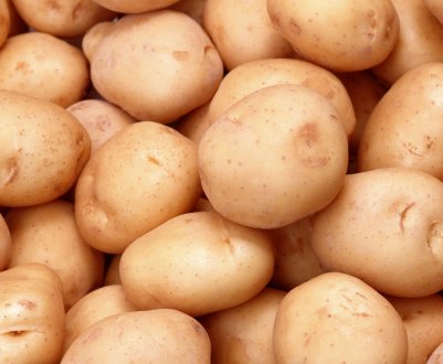 Урожай картоплі в Україні буде найнижчим за останнє десятиліття