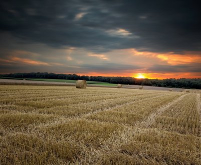 Донецькі ВІД готуються стягувати плату за землю з недбайливих платників