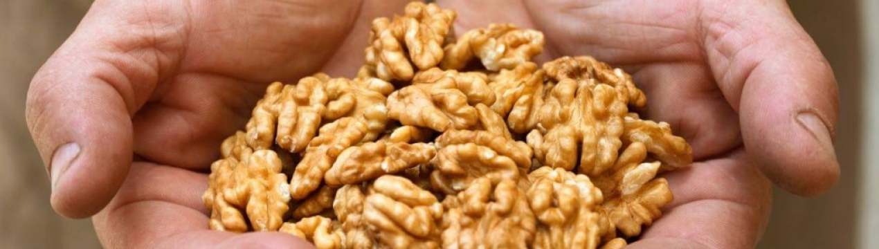 Користь волоського горіха для чоловіків