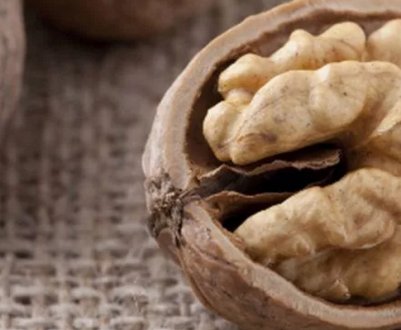 Чому хочеться їсти горіхи