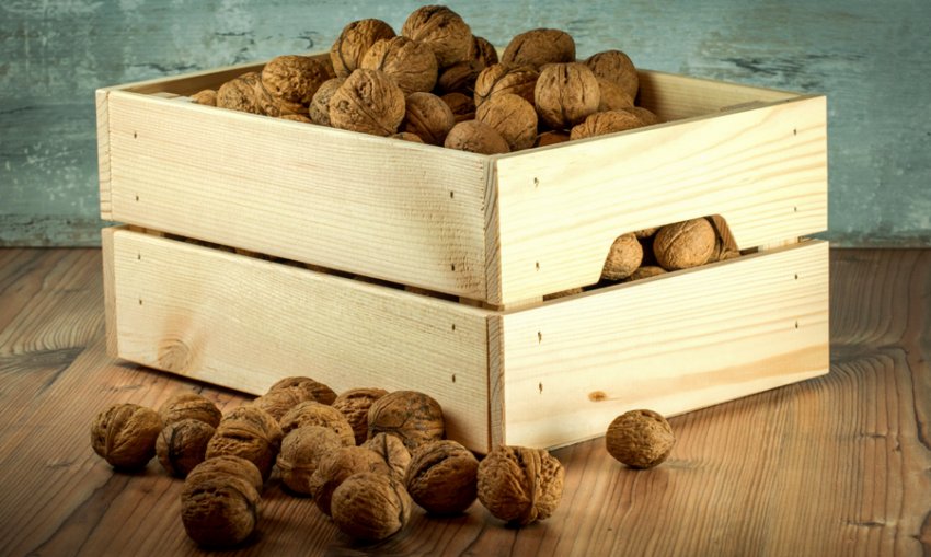 Зберігання волоських горіхів Зберігання волоських горіхів