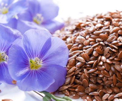 Сумські аграрії почали збір льону