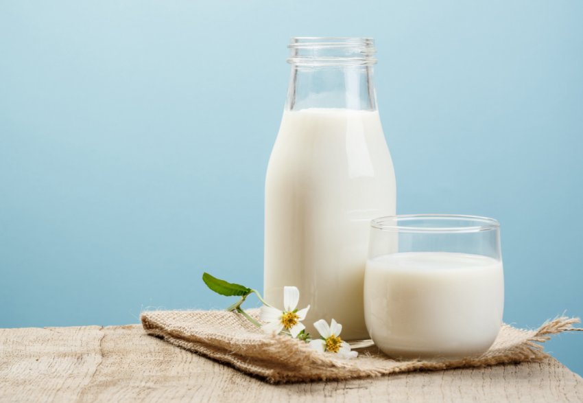 На донських теренах з'являться відразу дві високопродуктивні молочні ферми На донських теренах з'являться відразу дві високопродуктивні молочні ферми