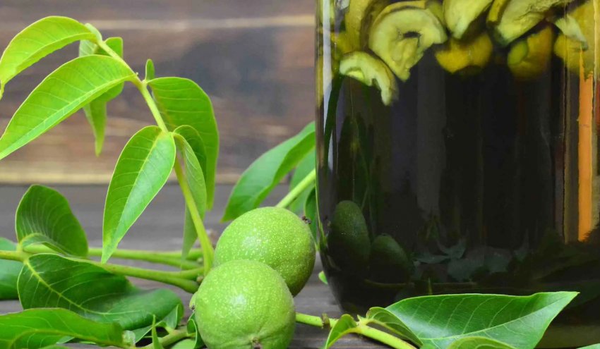 Самогон на молодих зелених плодах горіха Самогон на молодих зелених плодах горіха