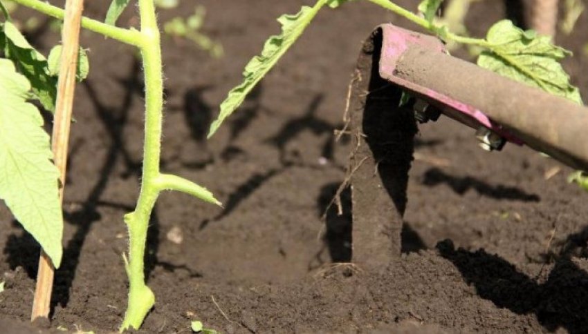 Розпушування грунту