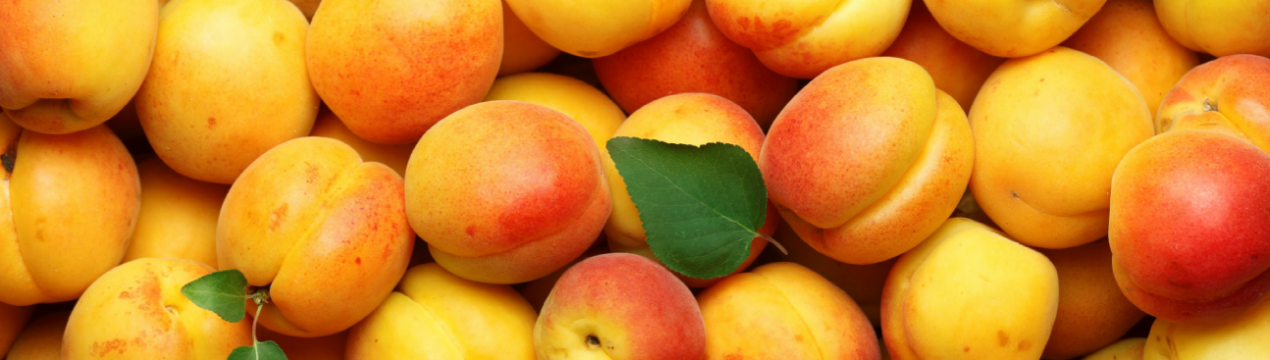 5 гектарів саду невідомі вирубали біля вінницького фермера