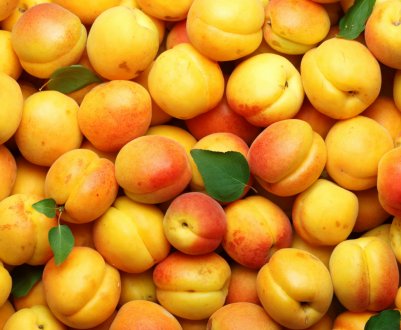 5 гектарів саду невідомі вирубали біля вінницького фермера