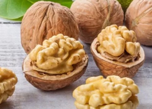 Щоденне вживання горіхів