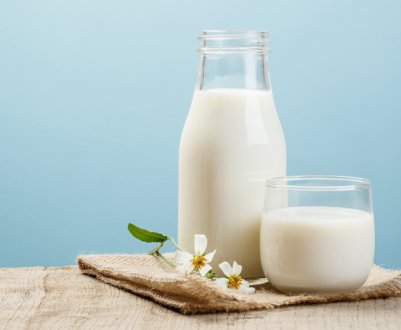 Унікальний завод по переробці молока буде відкрито в Луганській області