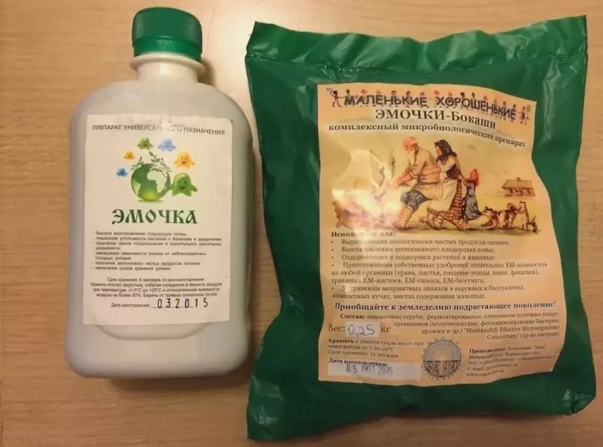 Темные пятна на листьях грецкого ореха что это. Смотреть фото Темные пятна на листьях грецкого ореха что это. Смотреть картинку Темные пятна на листьях грецкого ореха что это. Картинка про Темные пятна на листьях грецкого ореха что это. Фото Темные пятна на листьях грецкого ореха что это