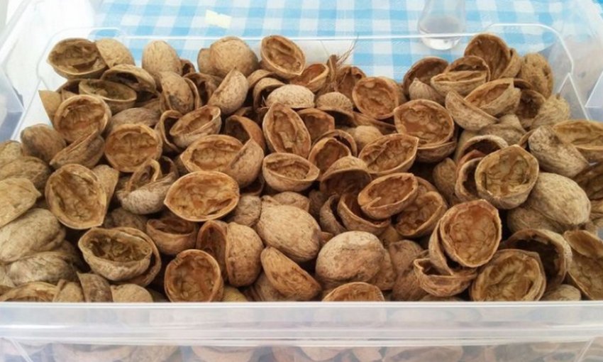 Шкаралупа волоського горіха