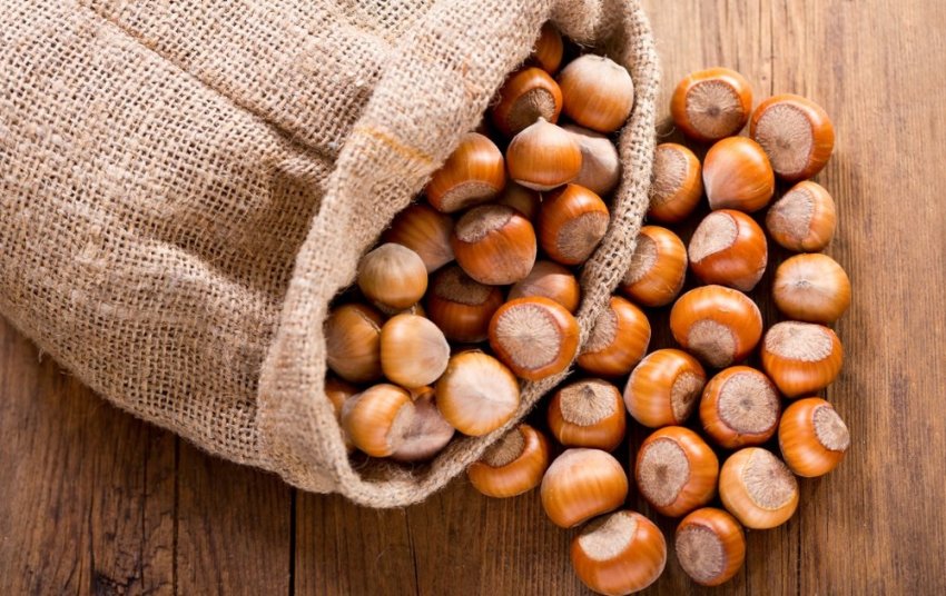 Зберігання фундука Зберігання фундука