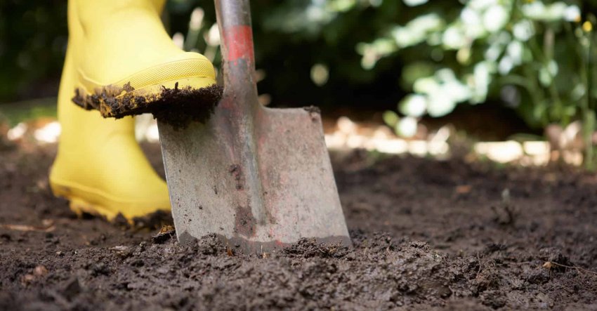 Перекопування грунту Перекопування грунту