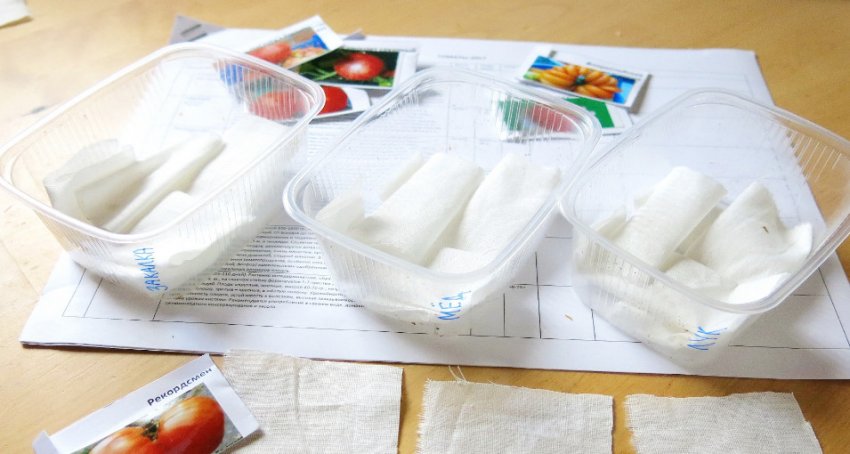 Передпосівна обробка насіння