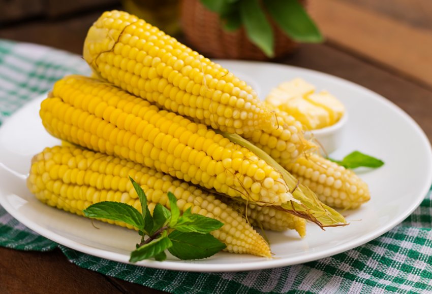 Невидимий ворог нападає на кукурудзу в Південній Дакоті Невидимий ворог нападає на кукурудзу в Південній Дакоті