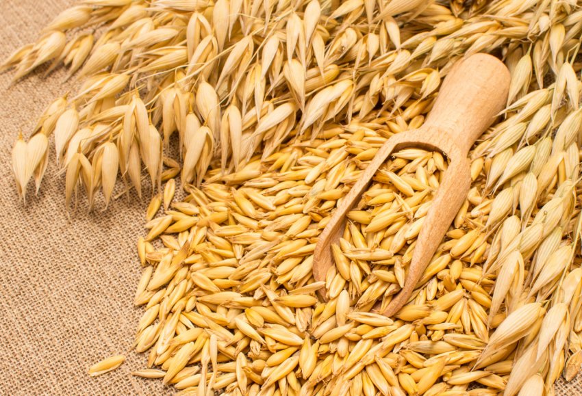 Аграрії Чернігівської області отримали перший мільйон тонн зерна Аграрії Чернігівської області отримали перший мільйон тонн зерна