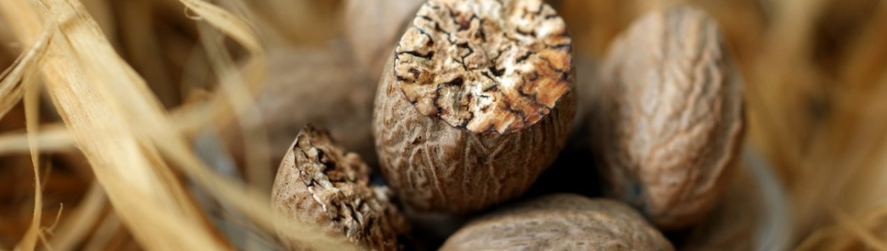 Користь і шкода мускатного горіха