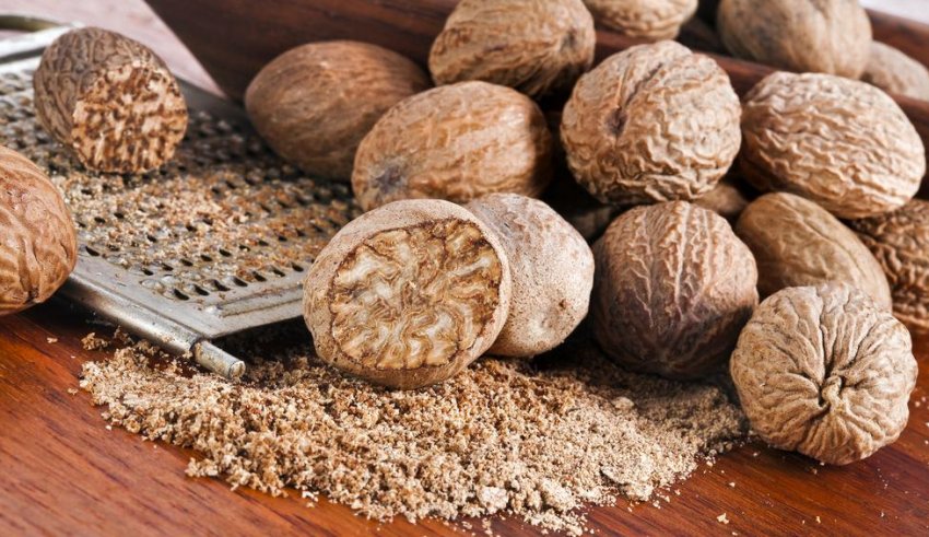 Мускатні горіхи