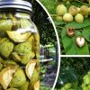 Маньчжурский орех рецепт приготовления. . Маньчжурский орех рецепт приготовления фото. Маньчжурский орех рецепт приготовления-. картинка Маньчжурский орех рецепт приготовления. картинка . Манчжурский орех – это плод одноименного дерева (на латинице – Juglans mandshurica), произрастающего на Дальней Востоке России, а также на просторах Кореи и Китая.